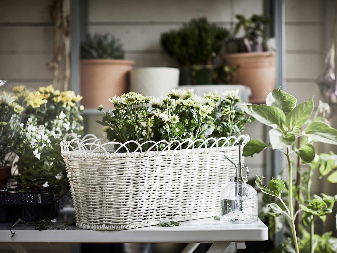 GALIAMELON Flower box with holder