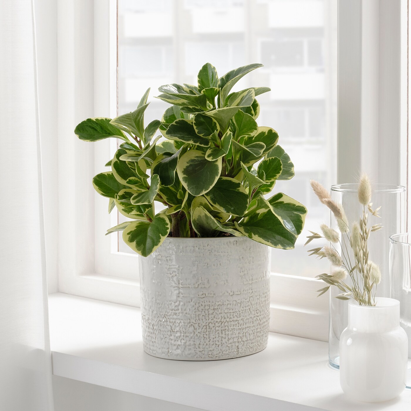 CHIAFRÖN Plant pot