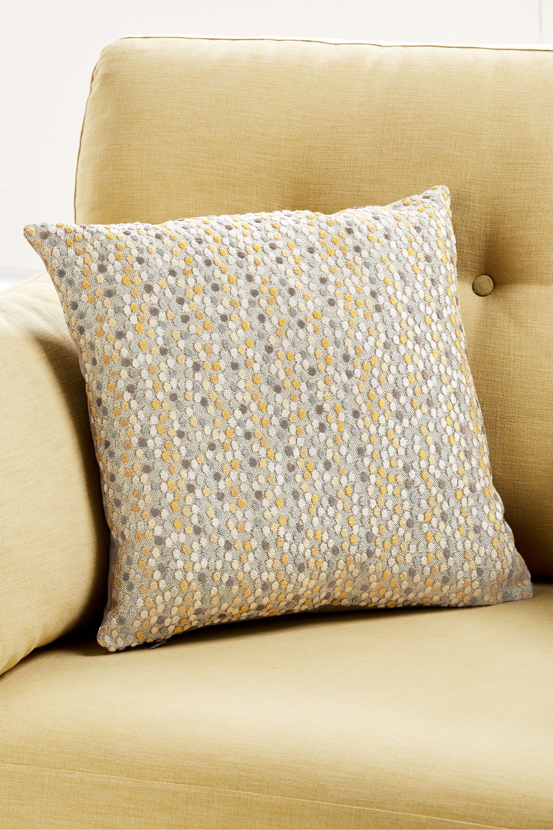 Velvet Spot Cushion