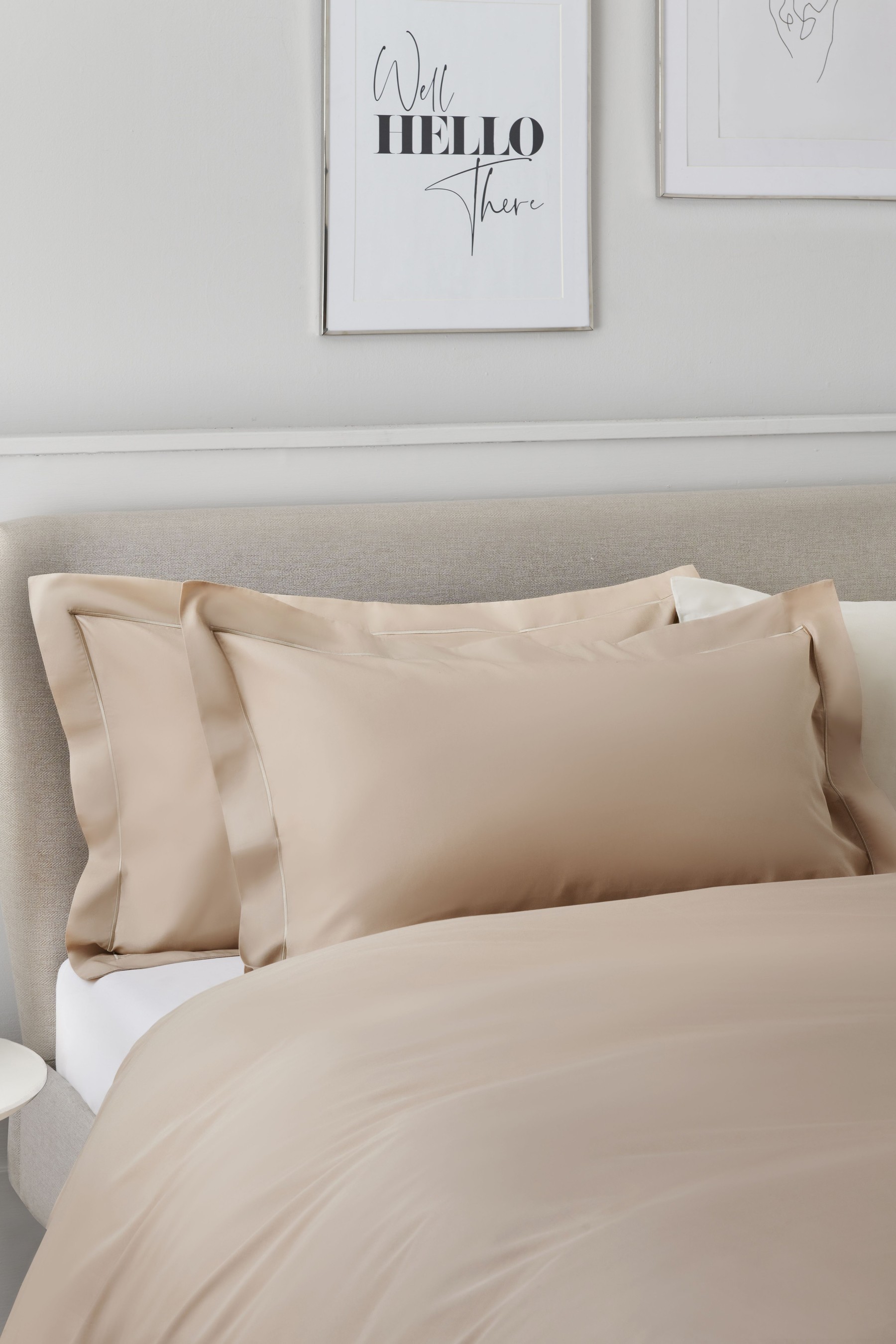 Set of 2 300 Thread Count Collection Luxe 100% Cotton Pillowcases