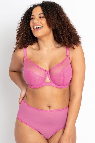 Curvy Kate Pink Victory Shorts