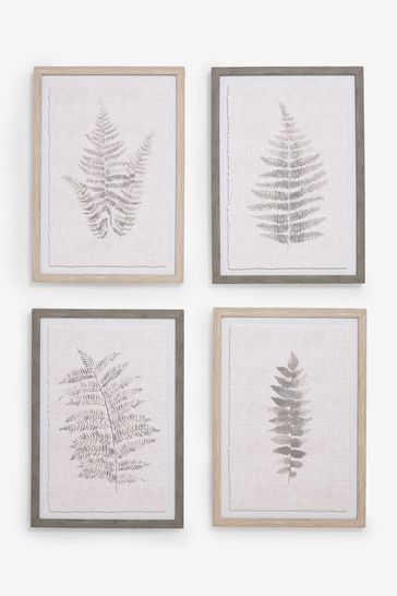 Set of 4 Country Botanical Framed Art