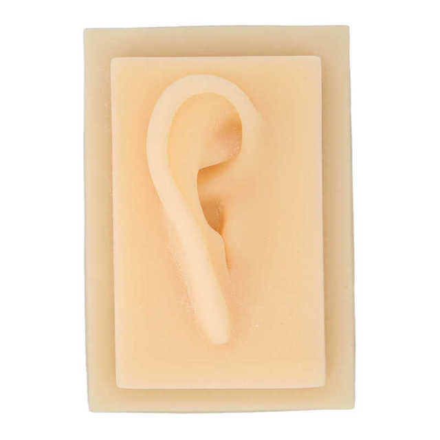 Silicone Ear Fake Ear Glossy Texture for Teaching Demonstration