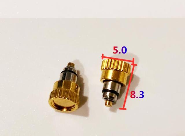 W7177 Gold Silver Color 5.0mm 5.5mm Head Diameter Stainless Steel Watch Pusher Time Adjust Button for Day T