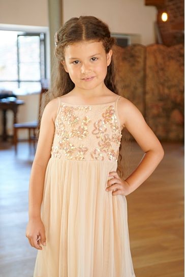 Amelia Rose Pink Sequin Bodice Dress