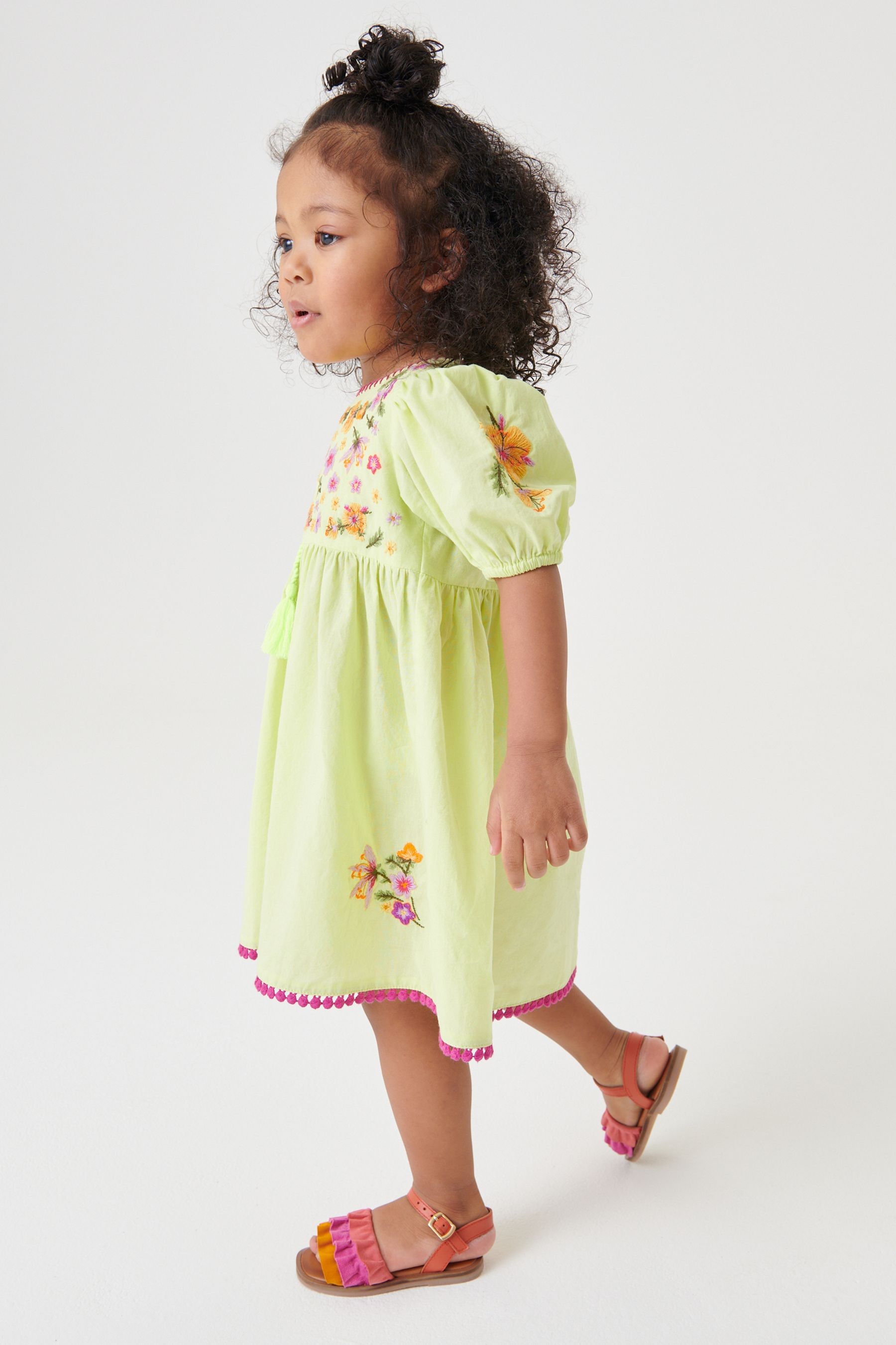 Embroidered Puff Sleeve Dress (3mths-8yrs)