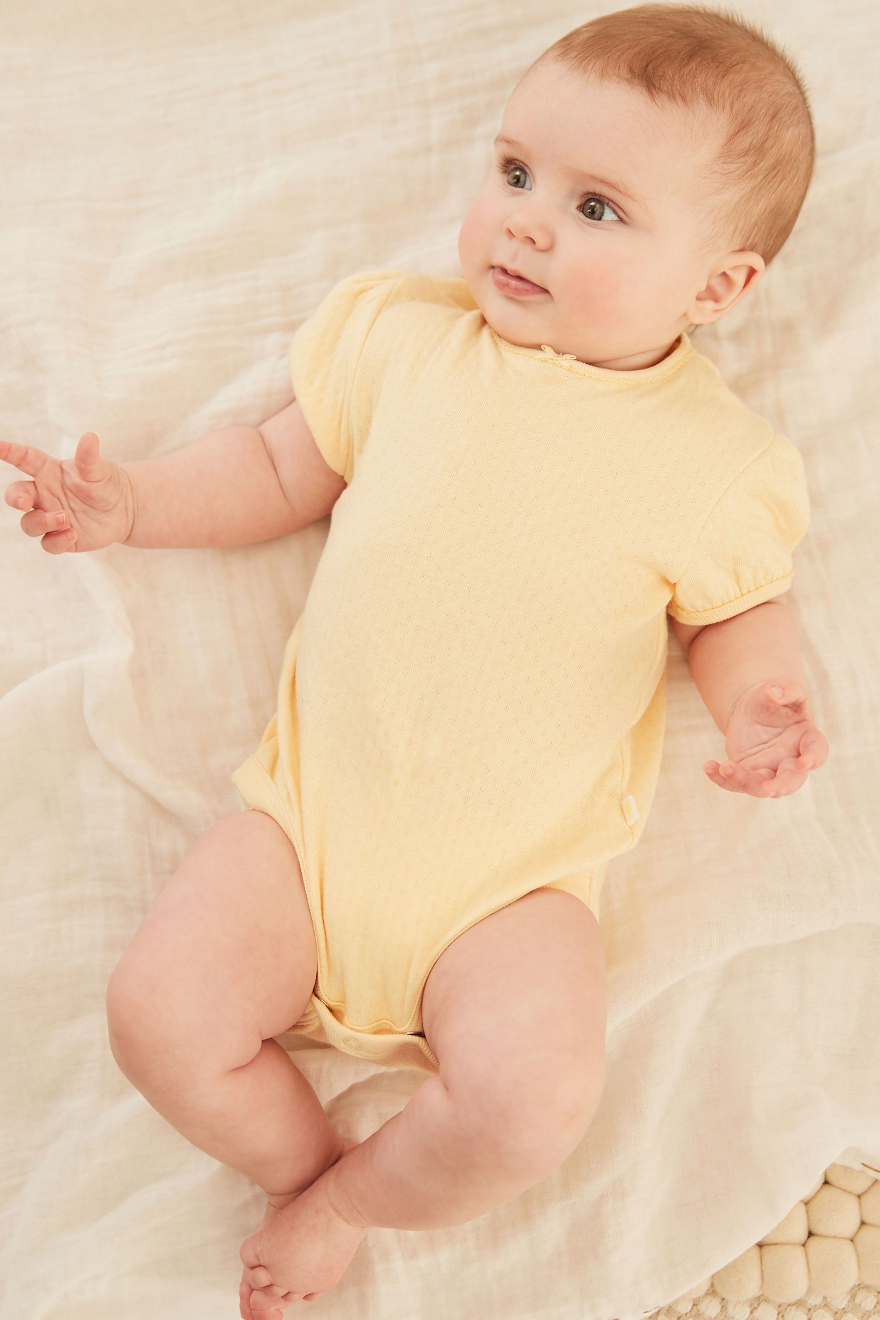 5 Pack Short Sleeve Baby Bodysuits (0mths-3yrs)