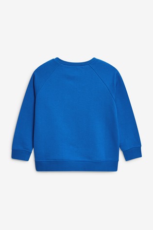 Crew Neck School Sweater (3-17yrs)