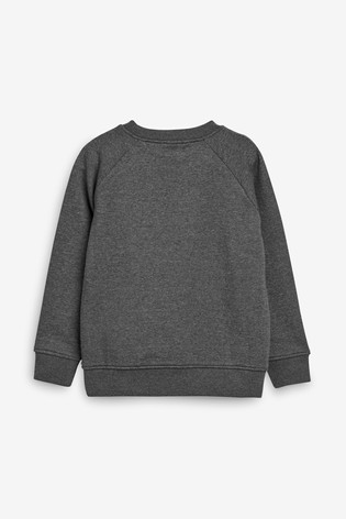 Crew Neck School Sweater (3-17yrs)