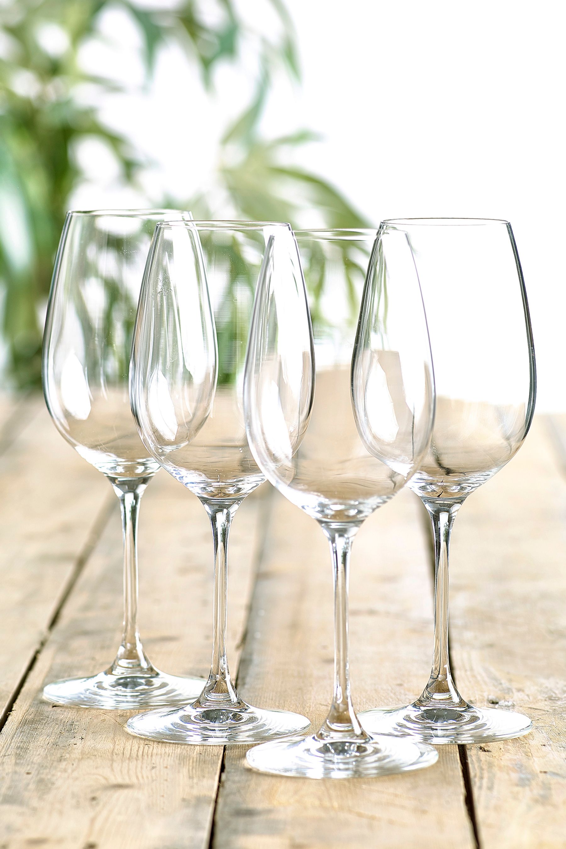 168-501s Set of 4 White Wine Glasses