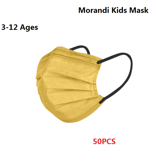 Morandi Embroidered 4 Layers Kids Mask 3-12 Years Old Children Masks Disposable Dust Mask Christmas Mask