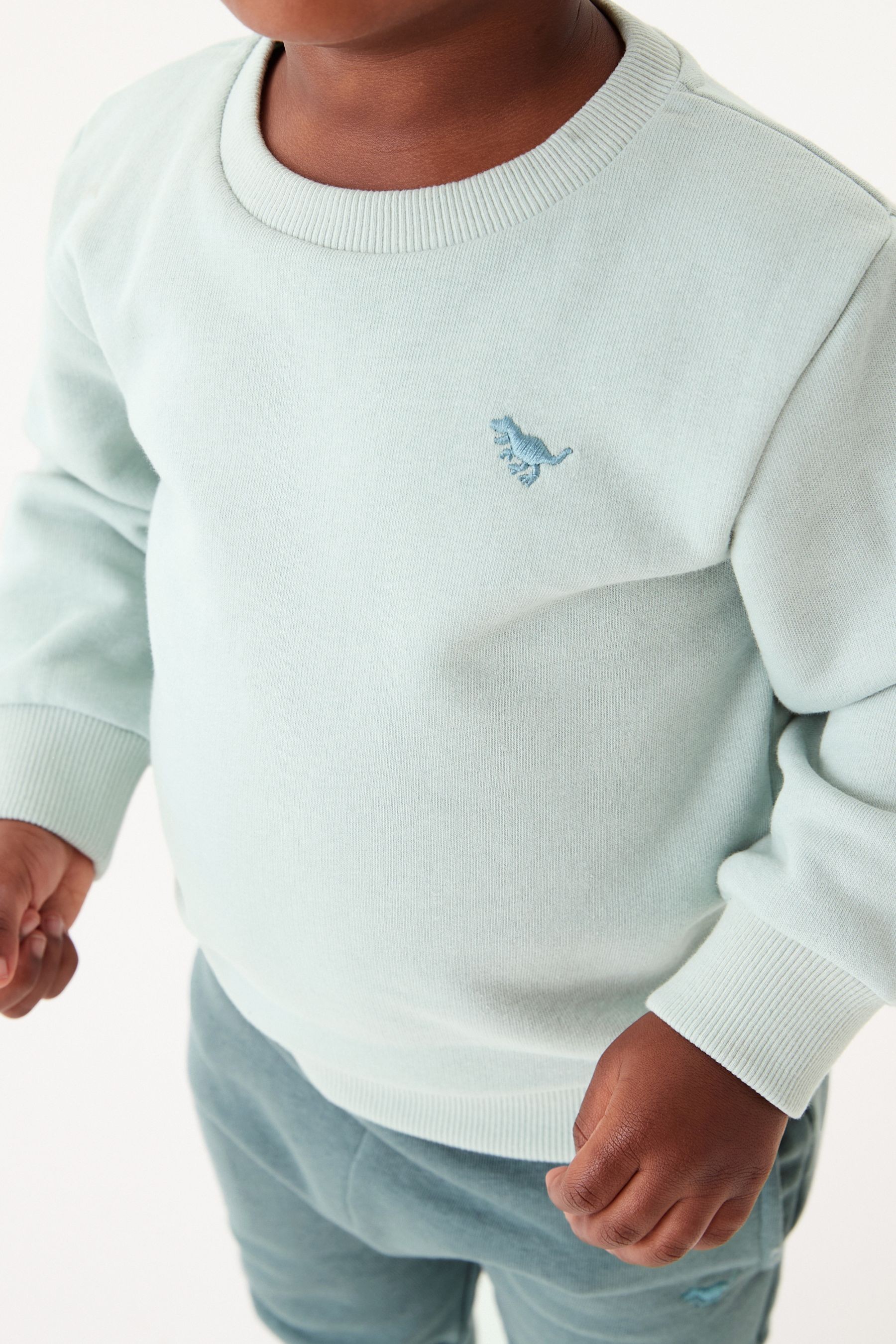 Jersey Sweatshirt And Jogger Set (3mths-7yrs)