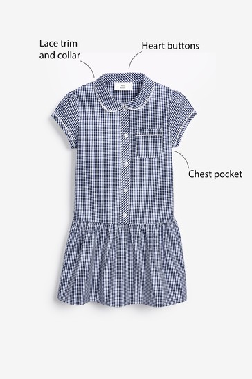 Drop Waist Gingham School Dress (3-14yrs)