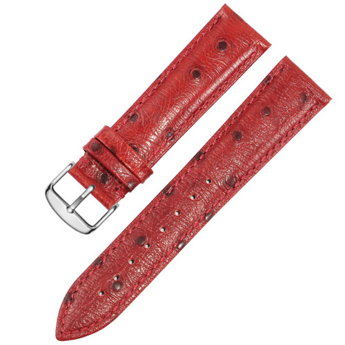 Ostrich Pattern Leather Watchband 12 13 14 15 16 17 18 19 20 21 22 23 24mm Black Blue Red Bracelet for Men and Women Watch Chain