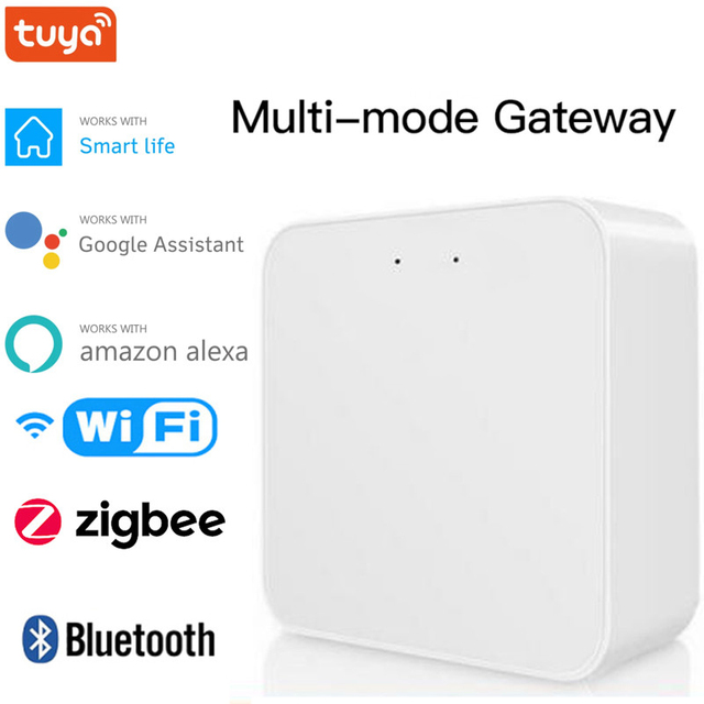 Multi-Mode Smart Gate Wifi Bluetooth Wired Network With Tuya Smart Life APP Voice Control Via Alexa Google Home