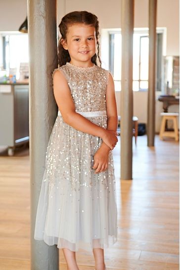 Amelia Rose Grey Sequin Occasion Dress