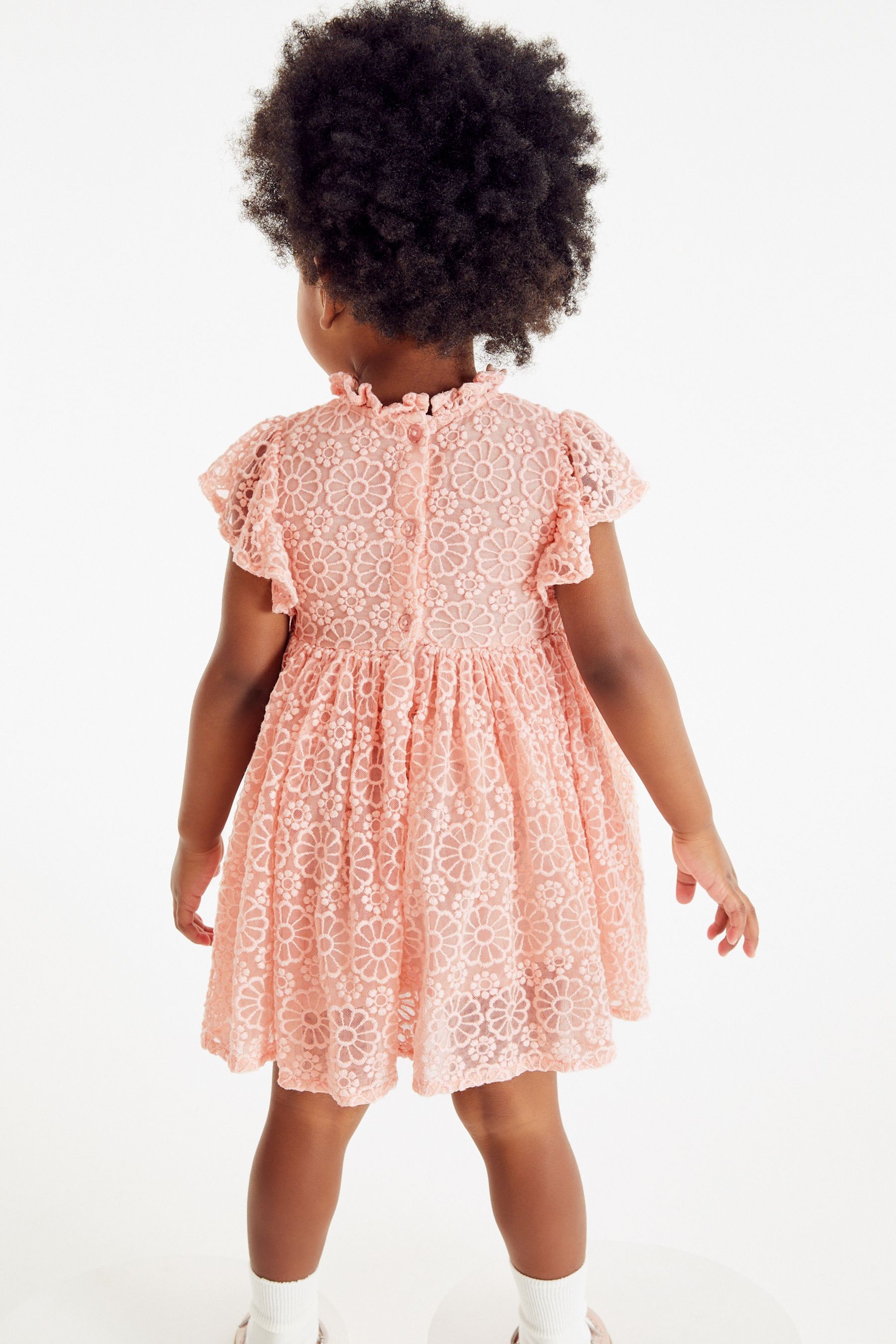 Short Sleeve Party Lace Dress (3mths-7yrs)