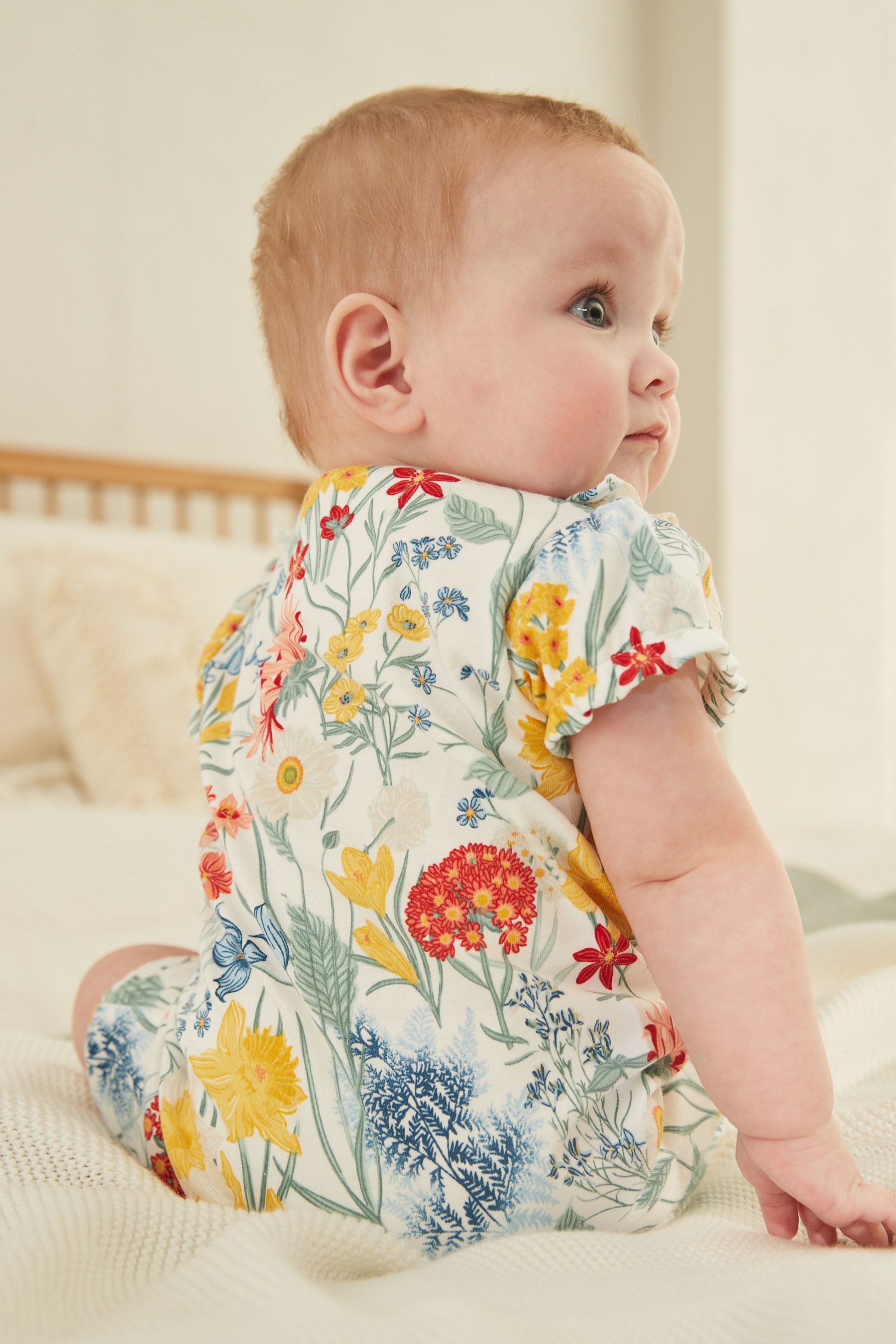 3 Pack Rompers (0mths-3yrs)