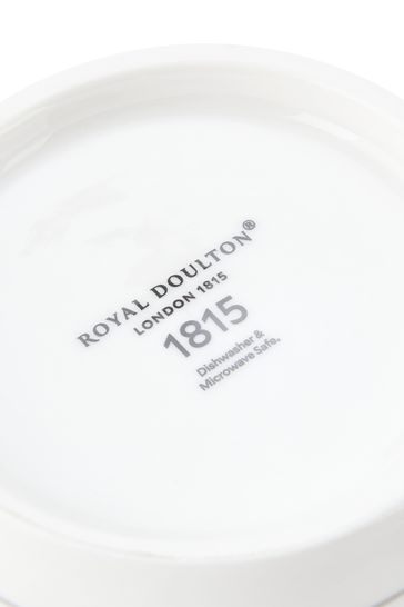 Royal Doulton Set of 4 Pacific Stone Plates