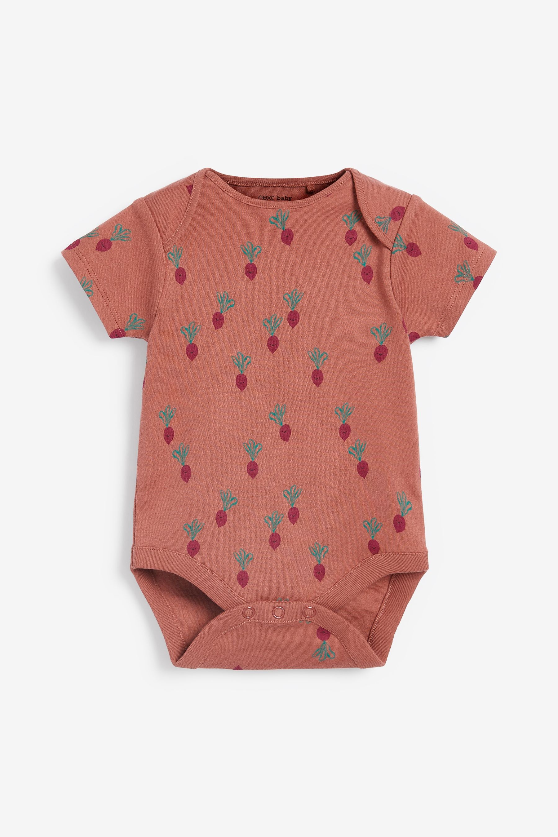 Baby 5 Pack Short Sleeve Bodysuits (0mths-3yrs)