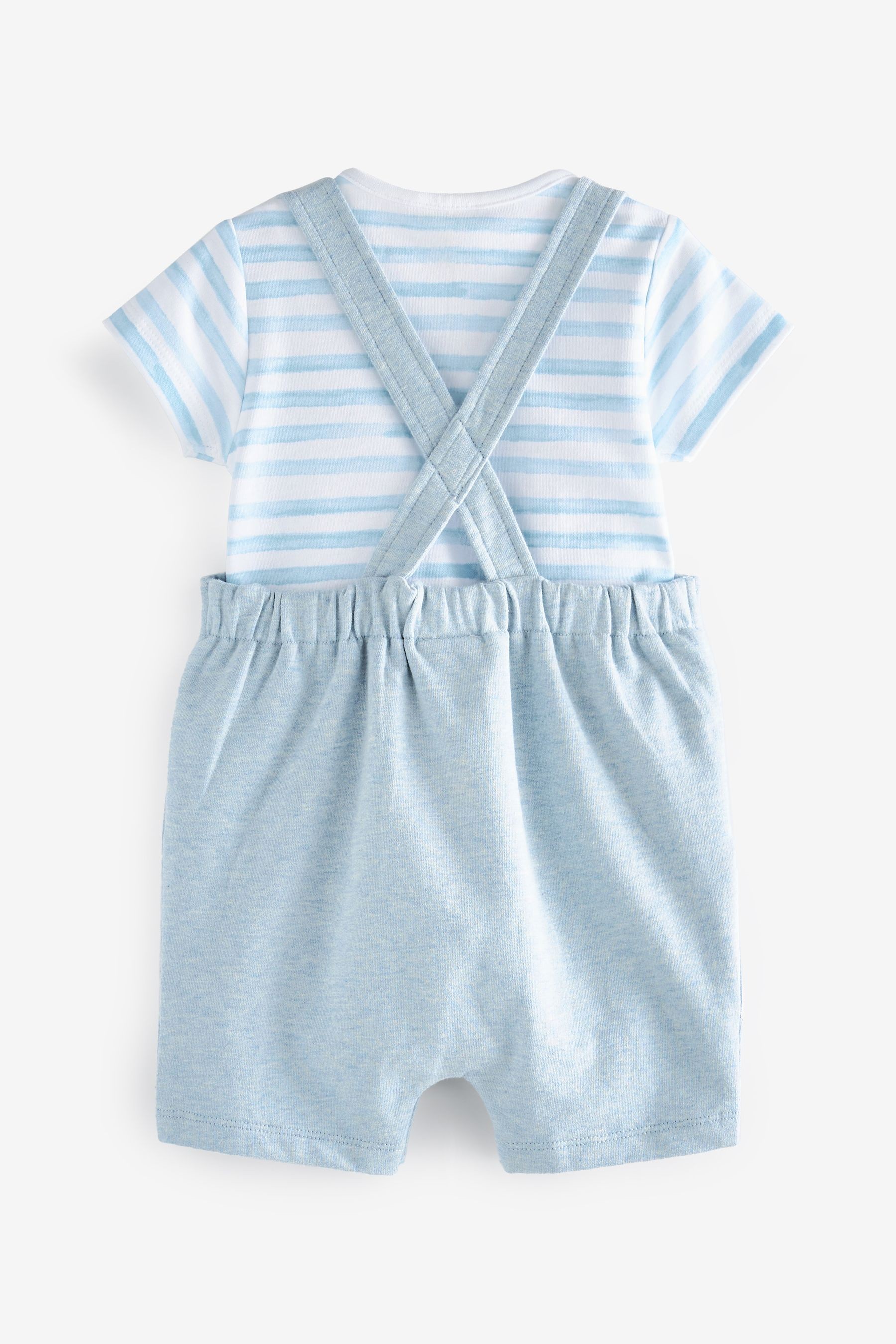 Baby Jersey Dungarees And Bodysuit Set (0mths-2yrs)