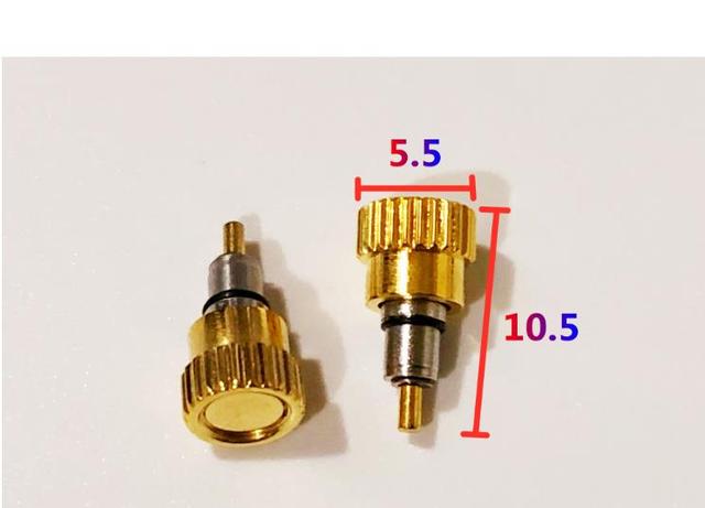 W7177 Gold Silver Color 5.0mm 5.5mm Head Diameter Stainless Steel Watch Pusher Time Adjust Button for Day T