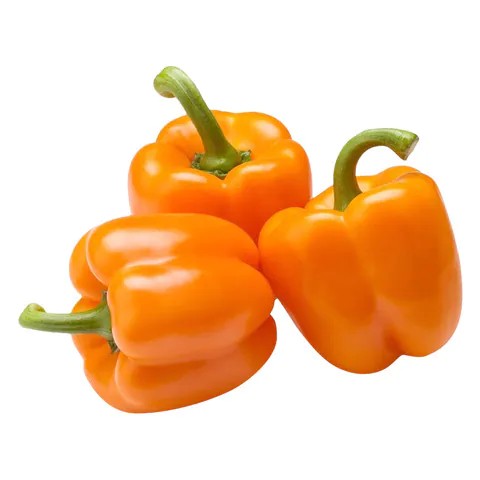 Orange Capsicum