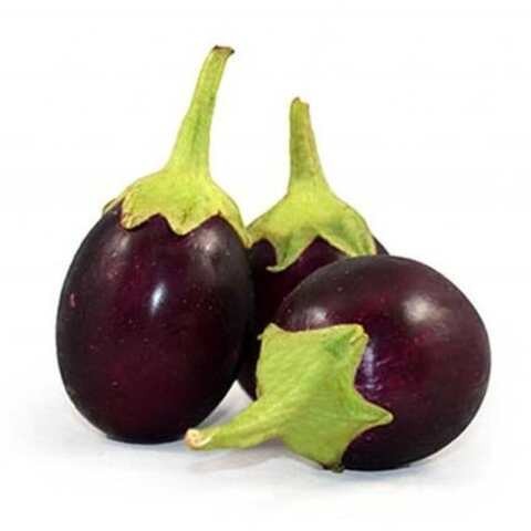 Round Purple Eggplant