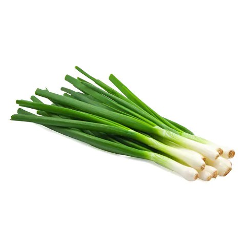 Fresh Spring Onion