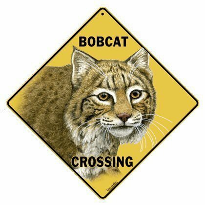 Crosswalks Bobcat Crossing 12&quot; X 12&quot; Aluminum Sign (X331)