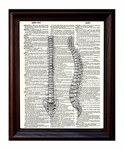 Fresh Prints Of Ct The Human Vertebrae/Anatomical Spine In Black Ink - Printed On Upcycled Vintage Dictionary Paper - 8&quot;X11&quot; Anatomy Art Poster/Print