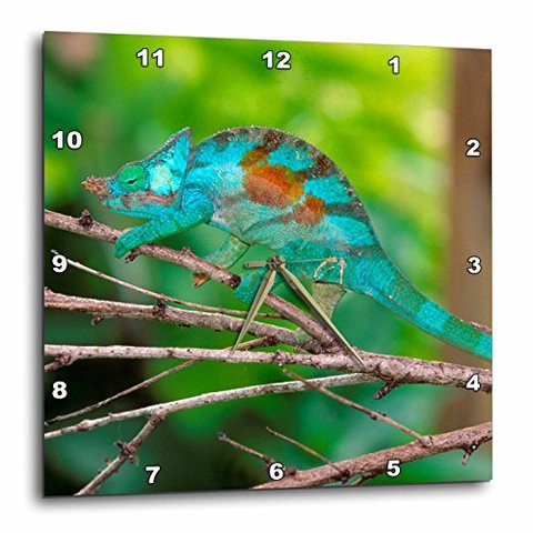 3Drose Dpp_206065_2 A Parsons Chameleon Moving Along A Branch Wall Clock, 13 By 13&quot;