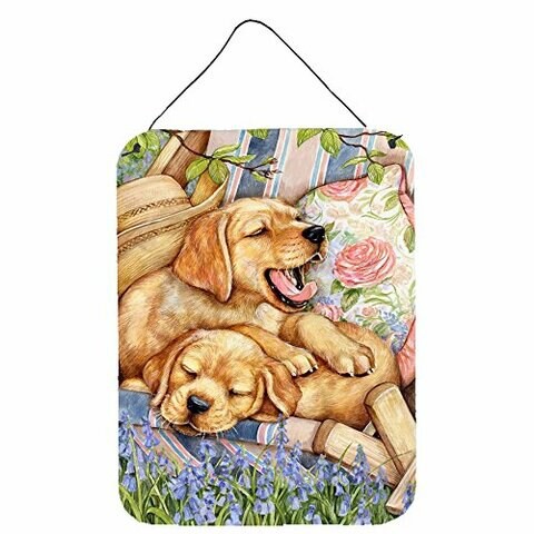 Caroline&#39;s Treasures Cdco0194Ds1216 Yellow Labrador Deck Pups Wall Or Door Hanging Prints, 12X16, Multicolor