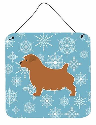 Caroline&#39;s Treasures Bb3509Ds66 Winter Snowflake Norfolk Terrier Wall Or Door Hanging Prints, 6X6, Multicolor