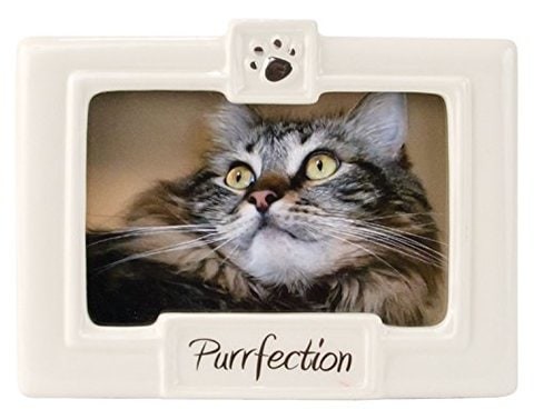 Malden International Designs Glazed Ceramic With Black &quot;Purrfection&quot; Picture Frame, 3.5X5, White