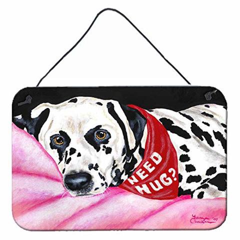 Caroline&#39;s Treasures Amb1148Ds812 Need A Hug Dalmatian Wall Or Door Hanging Prints, 8X12, Multicolor