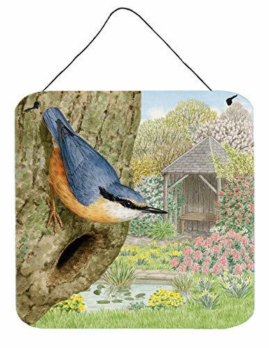 Caroline&#39;s Treasures Asad0696Ds66 Nuthatch By Sarah Adams Wall Or Door Hanging Prints, 6X6, Multicolor