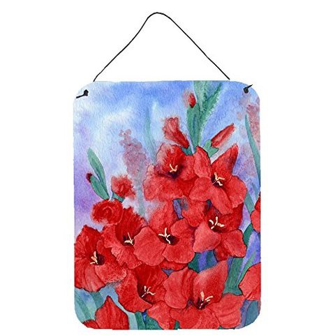 Caroline&#39;s Treasures Ibd0250Ds1216 Gladioli Wall Or Door Hanging Prints, 12X16, Multicolor