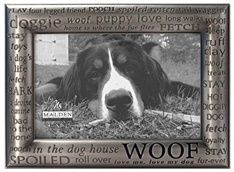 Malden International Designs Modern Pewter Metal Diecast Woof Expressions Picture Frame, 4X6, Silver