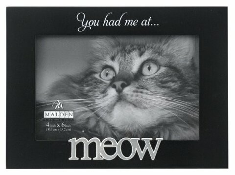 Malden International Designs Expressions You Had Me At Meow Black Wood Picture Frame, 4X6, Black