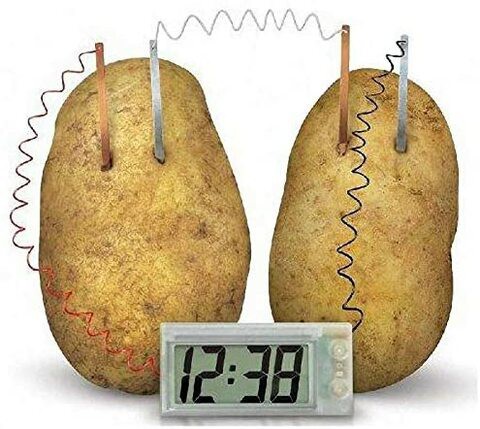 Generic Green Science Potato Clock Digital Clock