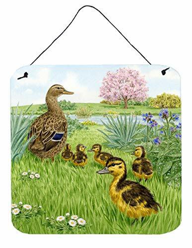 Caroline&#39;s Treasures Asad0693Ds66 Mallard And Ducklings By Sarah Adams Wall Or Door Hanging Prints, 6X6, Multicolor