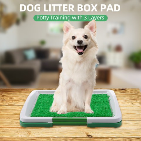 Outdoor dog litter box best sale