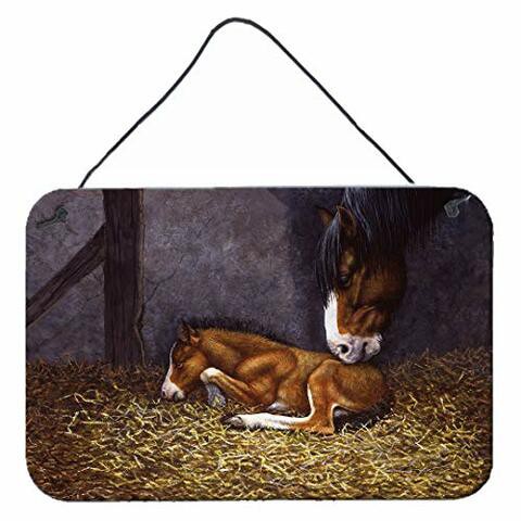 Caroline&#39;s Treasures Bdba0207Ds812 Horse And Her Foal Wall Or Door Hanging Prints, 8X12, Multicolor