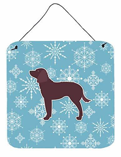 Caroline&#39;s Treasures Bb3501Ds66 Winter Snowflake American Water Spaniel Wall Or Door Hanging Prints, 6X6, Multicolor