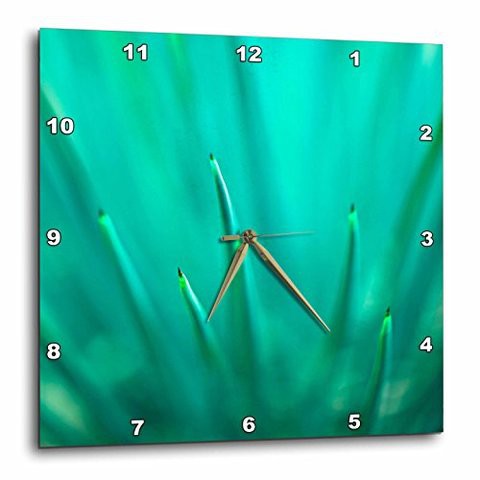 3Drose Dpp_205319_1 Spines On Agave Cactus, Las Vegas, Nevada, Usa Wall Clock, 10 By 10&quot;