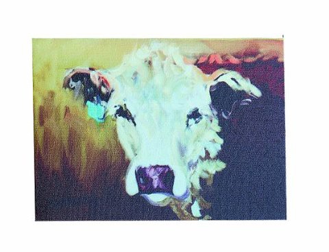 Creative Co-Op Canvas Cow Image Wall D Cor