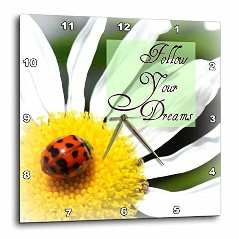 3Drose Dpp_31470_2 Follow Your Dreams Ladybug And Daisy Flower Inspirational Quotes Wall Clock, 13 X 13