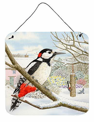 Caroline&#39;s Treasures Asad0701Ds66 Spotted Woodpecker By Sarah Adams Wall Or Door Hanging Prints, 6X6, Multicolor