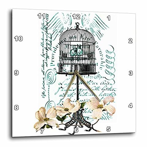 3Drose Dpp_164701_3 Dogwood Flowers With Birds In Bird Cage Wall Clock, 15 X 15